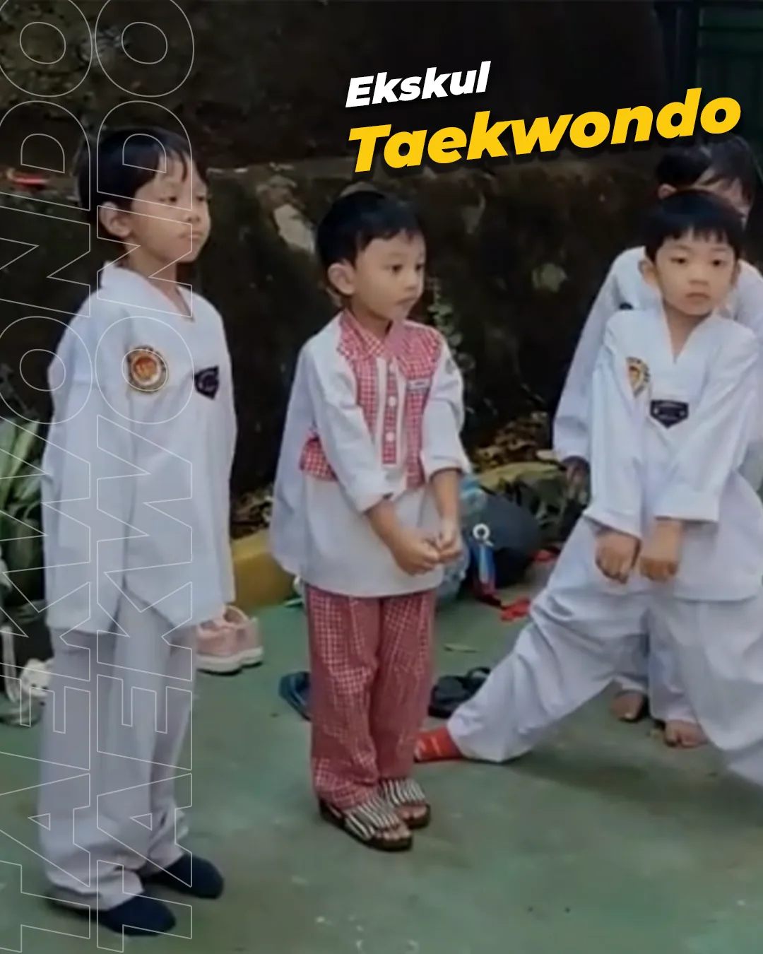 Taekwondo